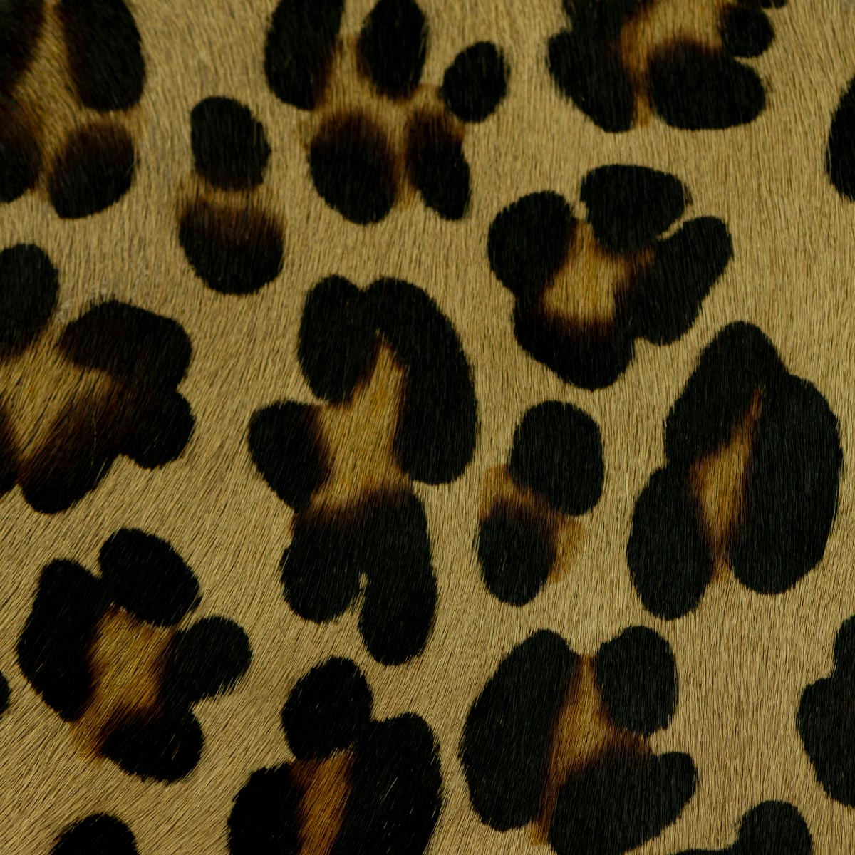 Leopard Print - 45