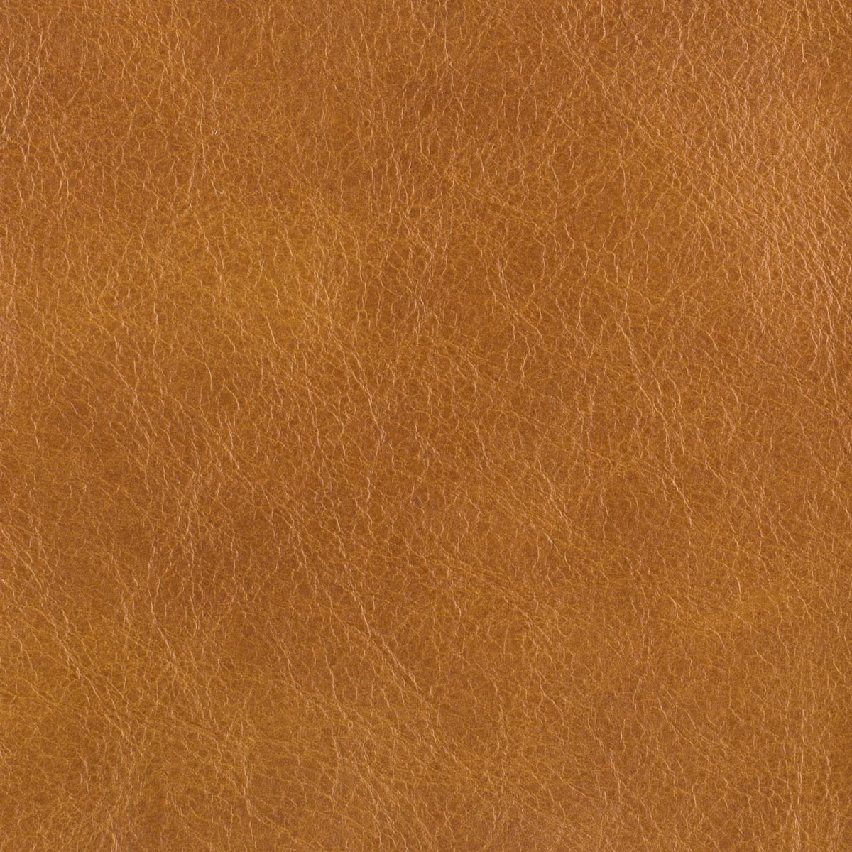 Antiquity - Top Grain Distressed Leather - Jamie Stern Design