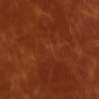 Antiquity Saddle top grain distressed leather