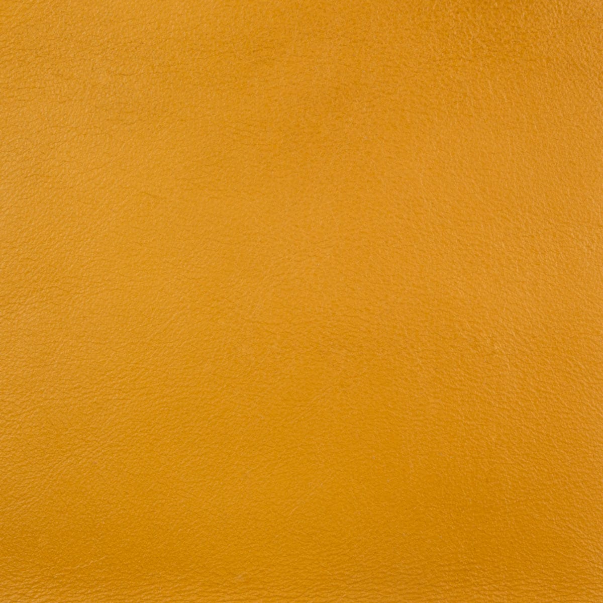 Grain Jamie Barcelona Stern Top Protected - Design Leather