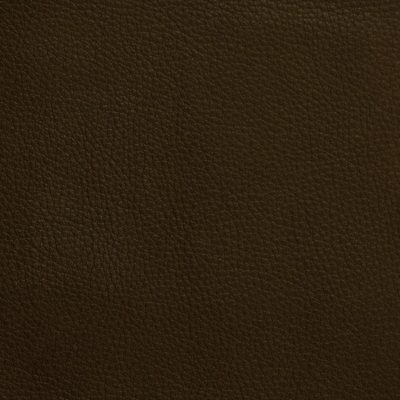 Bernini Leather by Jamie Stern