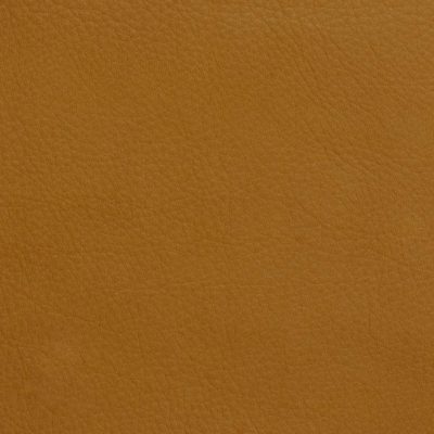 Bernini Leather by Jamie Stern