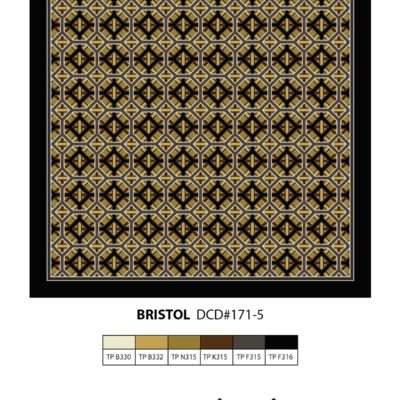 bristol geometric carpet