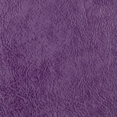 Caribbean Spice African Violet semi-aniline leather