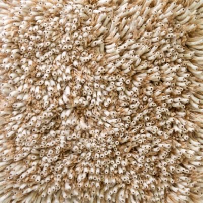 Core Spun wool Shag rug by Jamie Stern