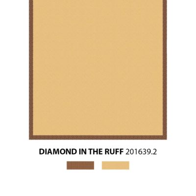 Diamond-in-the-Ruff Rendering