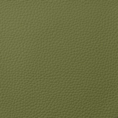EUROPA Leather Mediterranean Green
