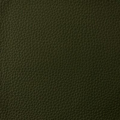 EUROPA Leather Vineyard Green