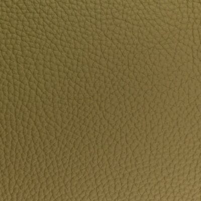 Top grain leather Aphid