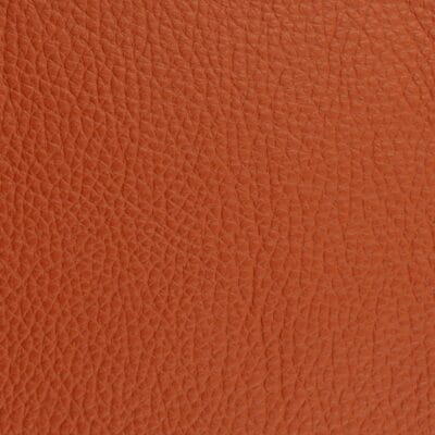 European leather sample
