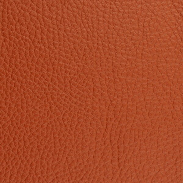 European leather sample