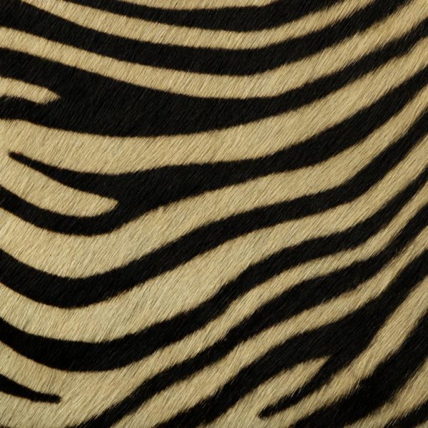 zebra pattern leather hide