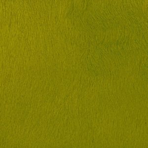 Chartreuse Hair-on-HIde Leather | Jamie Stern Design