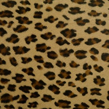Cheetah Pattern Hair-on-Hide Leather - Jamie Stern Design