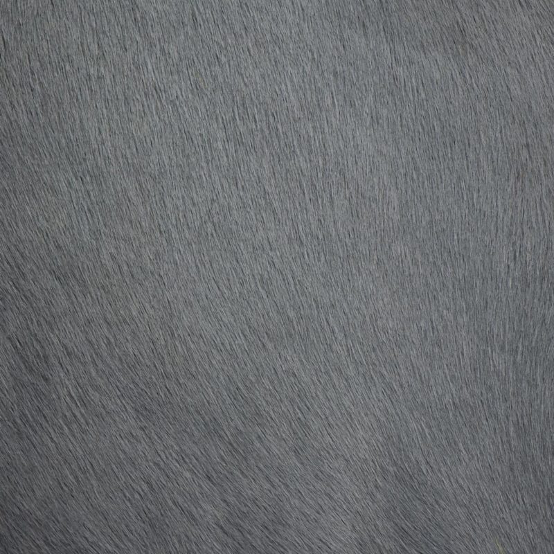 tn 3 smoke grey