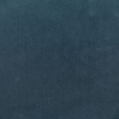 Carle Velvet Fabric by Jamie Stern in Baja blue
