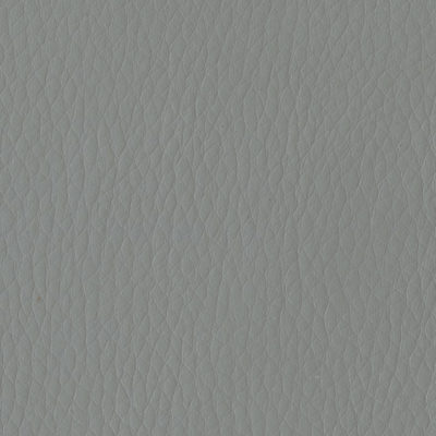Jamie Stern Celeste Faux Leather Fabric in lara grey color