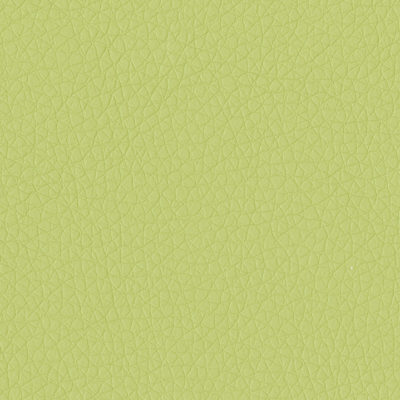 Jamie Stern Celeste Faux Leather Fabric in Brilliant Green