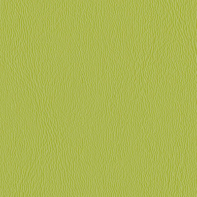 Jamie Stern Centerville PVC Vinyl Fabric Parakeet Green