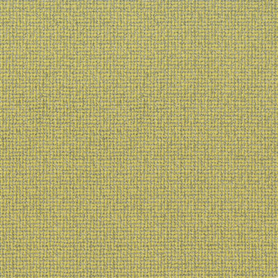 Copela Fabric by Jamie Stern in Tin Yellow