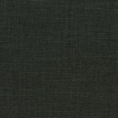 Cornwall Fabric by Jamie Stern in Chalkboard Black