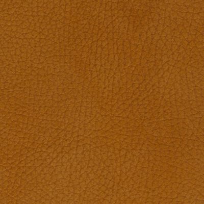 Jamie Stern Nubuck Leather