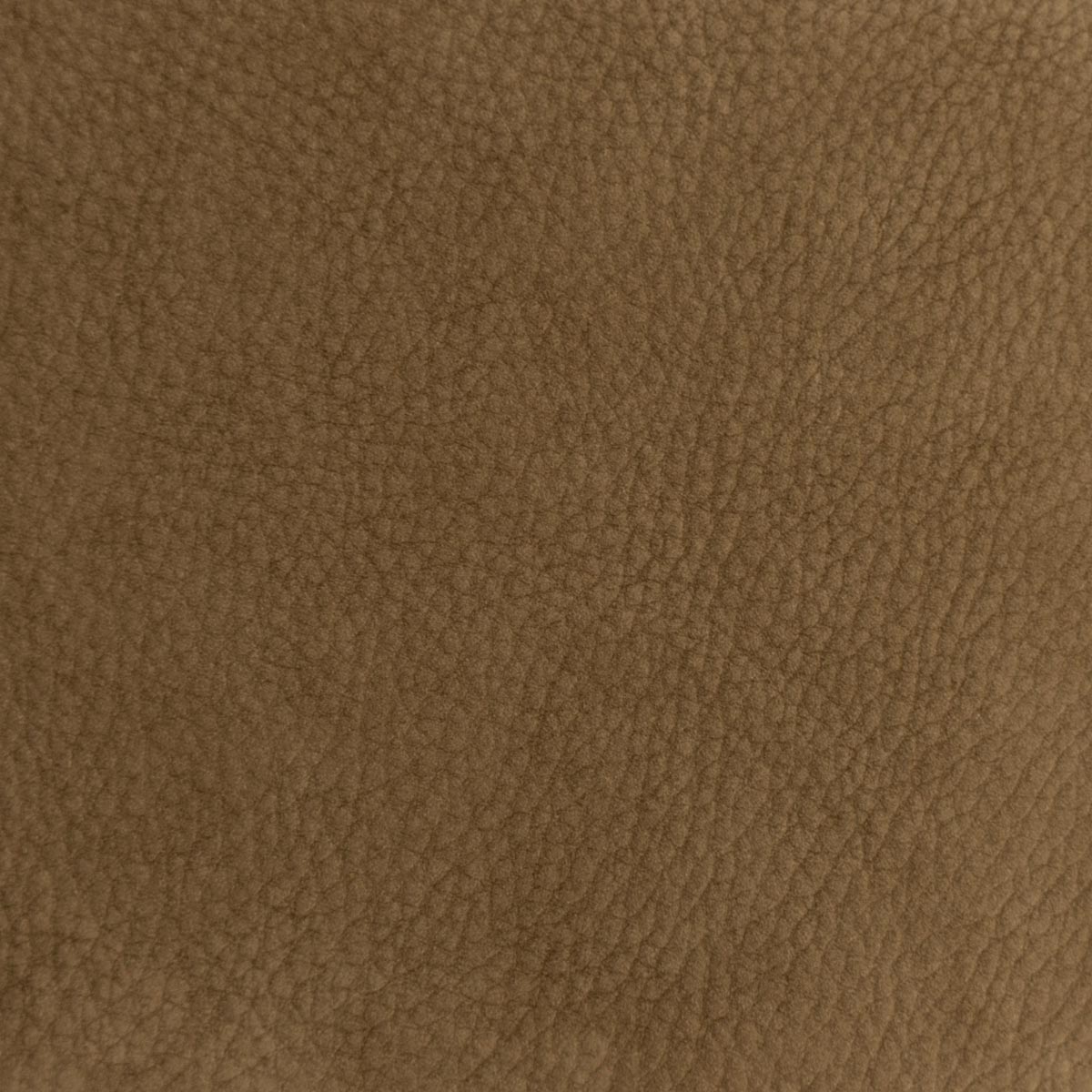 Brown Leather Strip by ArtMinds™