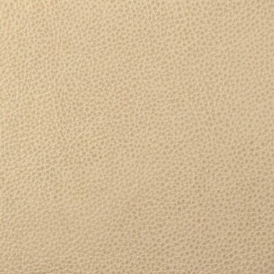 Metro textured leather Champagne