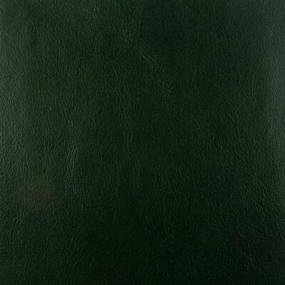 On the Double dark green quick ship leather hide