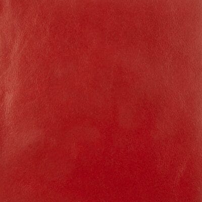 On the Double Red Corvette color European Leather HIde