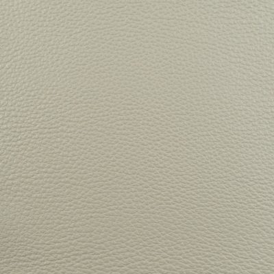 Quicksilver Leather in the color of Coaster