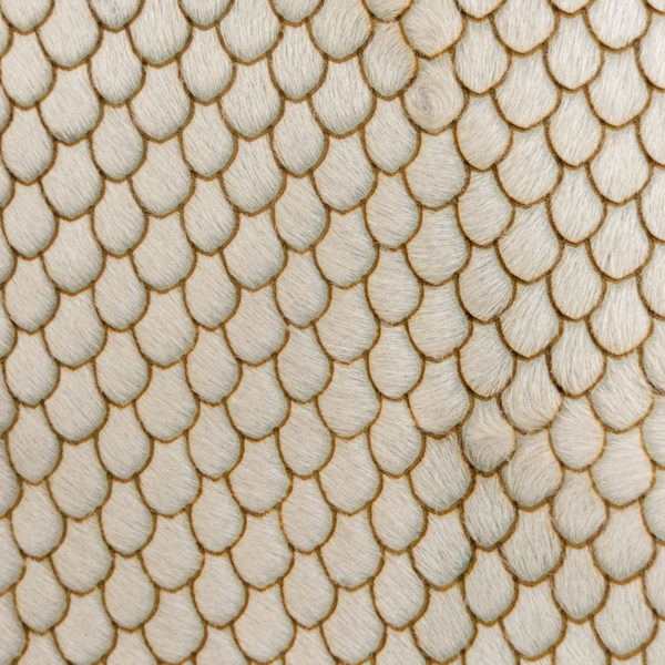 scalloped laser cut hair on hide leather