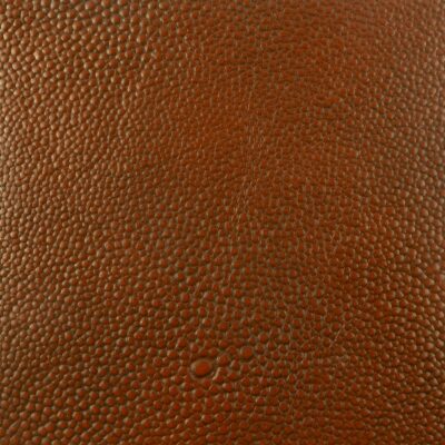 Shagreen Leather Acorn color