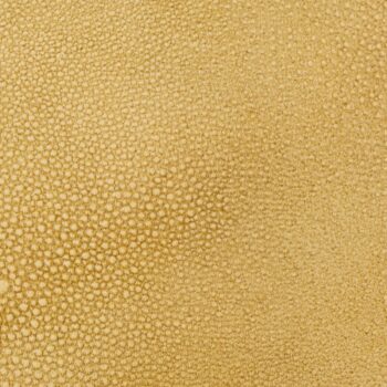 Shagreen Leather - Embossed - Jamie Stern Design