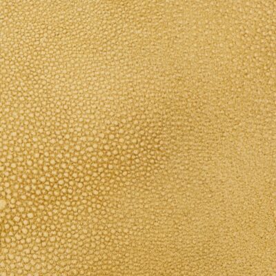 Shagreen Leather | Embossed | Jamie Stern Design