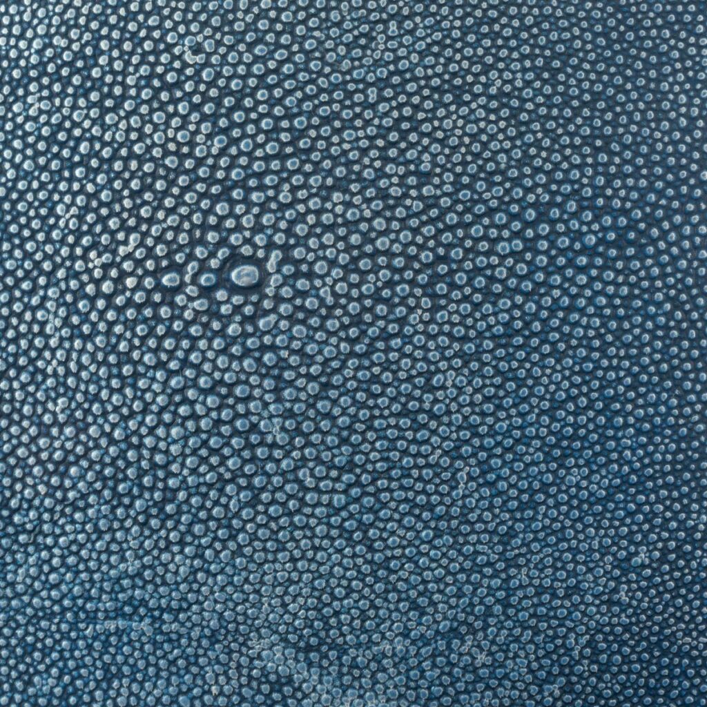 Shagreen Leather Embossed Jamie Stern Design