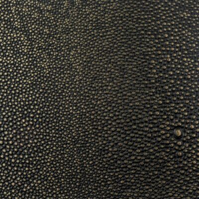 Shagreen Leather in Caviar color