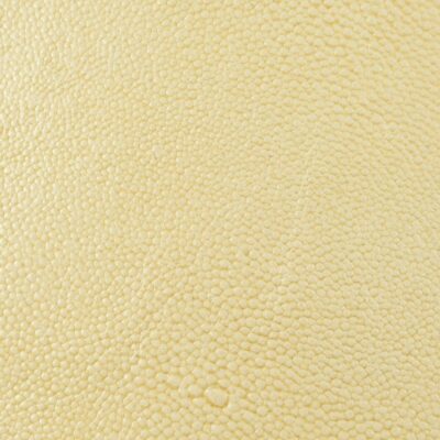 Shagreen Leather in Cream Froth color