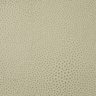 Shagreen Leather in Grey color