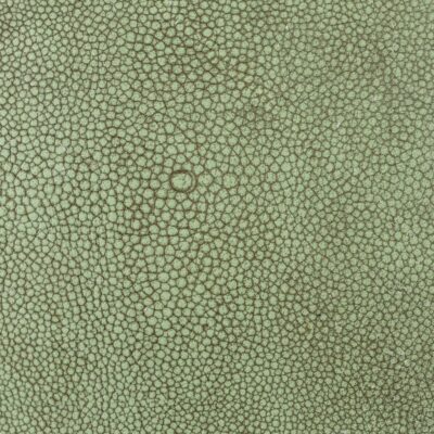 green shagreen leather