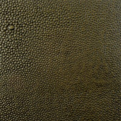 Shagreen Leather in Seaweed color