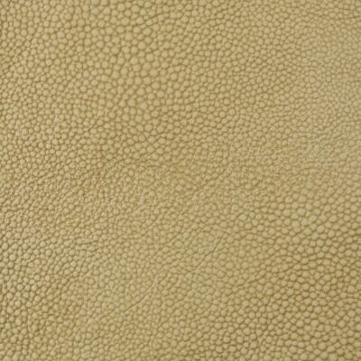 Shagreen Leather in Vanilla color