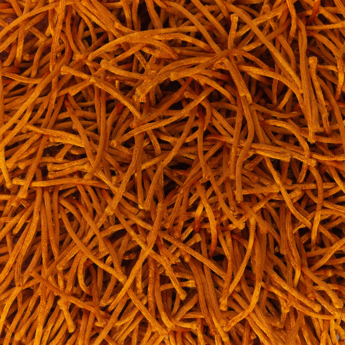Spaghetti Shag Rug | Jamie Stern Design