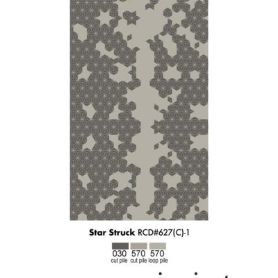 Star Struck star patterned area rug by Jamie Stern rendering