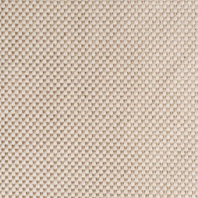 Tennyson Shell Fabric is a beige and light gold color